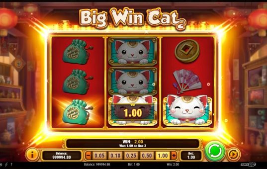 PlayN Go slots Big Win Cat