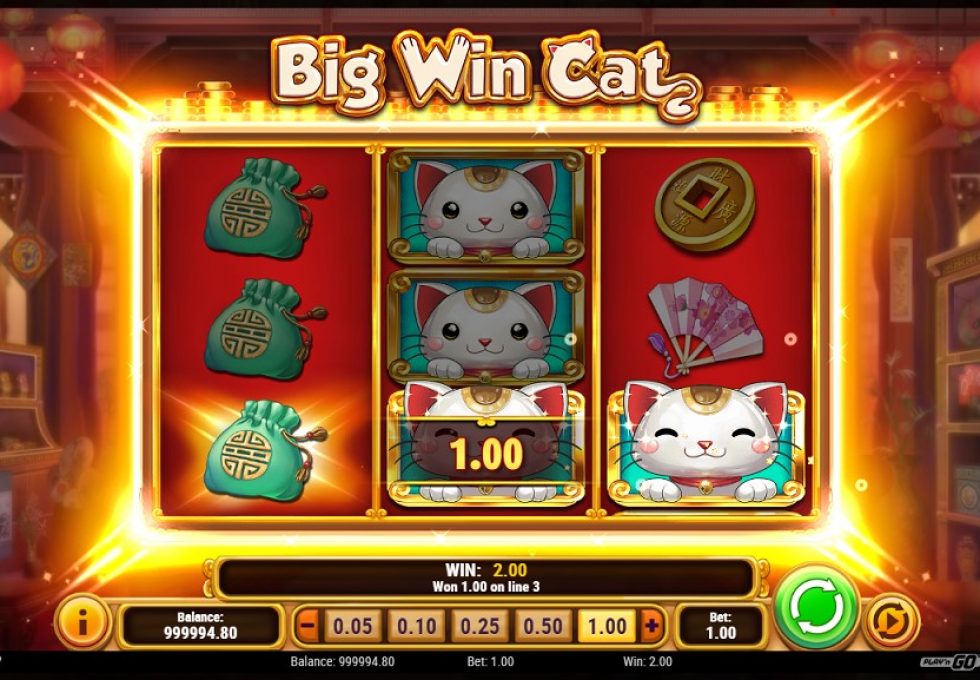 PlayN Go slots Big Win Cat